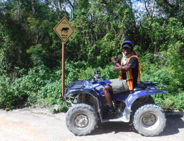 Paseo en Cuatrimoto